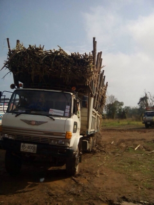ขาย hino f18