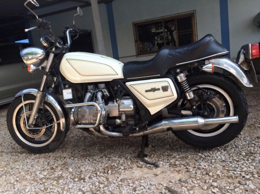 Goldwine 1100 ทะเบียน