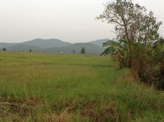 ขายที่ดินติดคลองชลประทาน