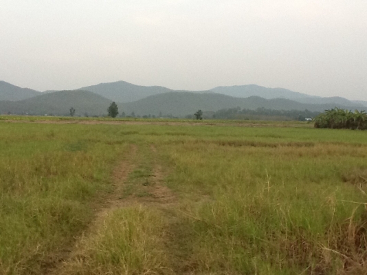 ขายที่ดินติดคลองชลประทาน