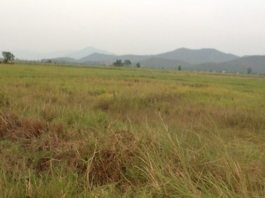 ขายที่ดินติดคลองชลประทาน