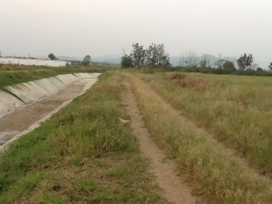 ขายที่ดินติดคลองชลประทาน