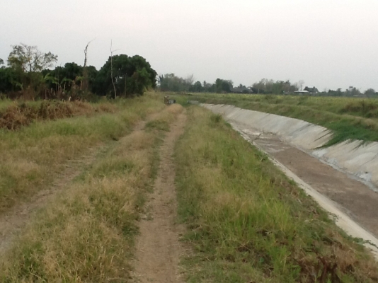 ขายที่ดินติดคลองชลประทาน