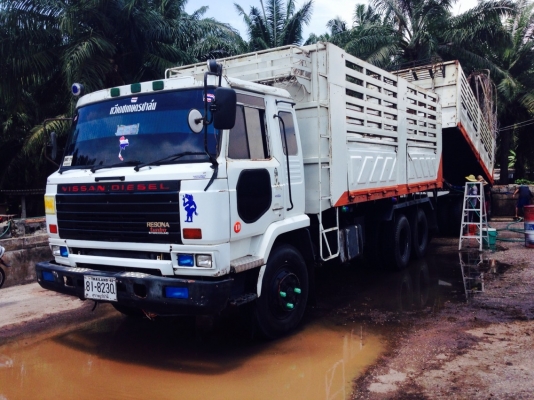 ขายนิสสัน UD เครื่อง 285 แรงม้า 2 เพลา แม่-ลูก ทำเครื่องมาใหม่ไม่กี่เดือน รถใช้งานบรรทุกปาล์มอยู่ เอาไปใช้ได้เลย ติดต่อ 081-970-1769  ราคา 1,050,000 บาท