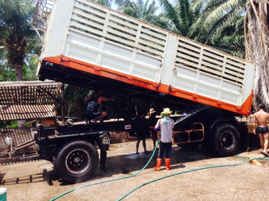 ขายนิสสัน UD เครื่อง 285 แรงม้า 2 เพลา แม่-ลูก ทำเครื่องมาใหม่ไม่กี่เดือน รถใช้งานบรรทุกปาล์มอยู่ เอาไปใช้ได้เลย ติดต่อ 081-970-1769  ราคา 1,050,000 บาท