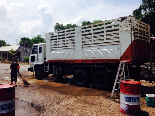 ขายนิสสัน UD เครื่อง 285 แรงม้า 2 เพลา แม่-ลูก ทำเครื่องมาใหม่ไม่กี่เดือน รถใช้งานบรรทุกปาล์มอยู่ เอาไปใช้ได้เลย ติดต่อ 081-970-1769  ราคา 1,050,000 บาท