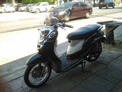 ฟีโน่ปี2549