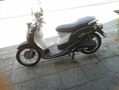 ฟีโน่ปี2549