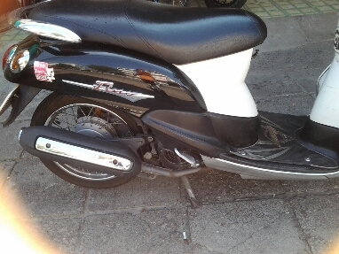 ฟีโน่ปี2549