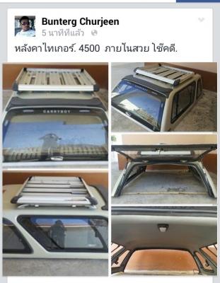 หลังคาไทเกอร์