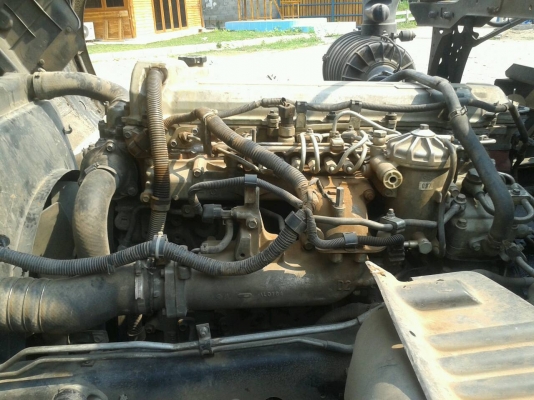 ขายด่วน10หัวลาก