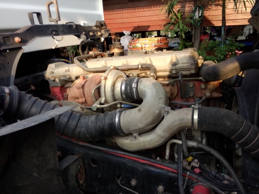 ขาย เม้ก้า 260 ปี48 ดั้มสามมิตรสวยๆ