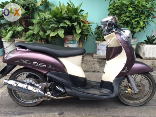 fino ปี 51 มี 2คัน คันละ 9900 บ fino ปี 51 มี 2คัน คันละ 9900 บ