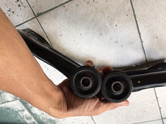 ปีกนกวีโก้ ปีกนกวีโก้