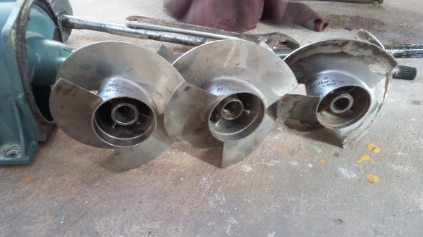 ขายใบแต่ง