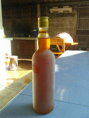 ขายน้ำผึ้งป่า