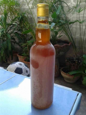 ขายน้ำผึ้งป่า