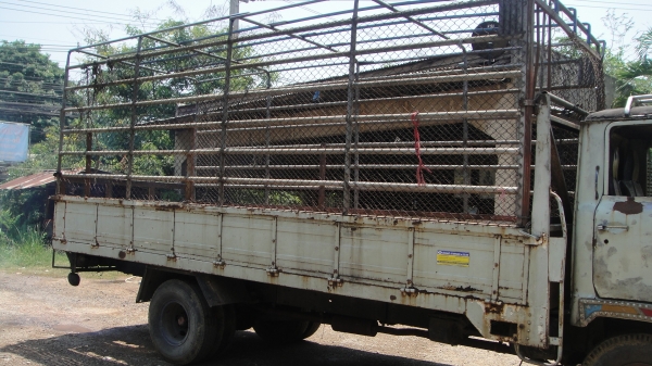 HINO KM540 ยาว5.60ม.เครื่อง110แรง เครื่องดี ยางดี คัสฃีสวย ราคาถูก HINO KM540 ยาว5.60ม.เครื่อง110แรง เครื่องดี ยางดี คัสฃีสวย ราคาถูก