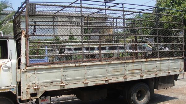 HINO KM540 ยาว5.60ม.เครื่อง110แรง เครื่องดี ยางดี คัสฃีสวย ราคาถูก HINO KM540 ยาว5.60ม.เครื่อง110แรง เครื่องดี ยางดี คัสฃีสวย ราคาถูก