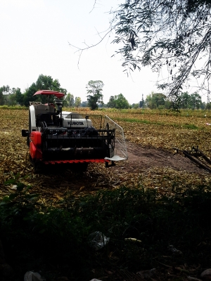 ขายดาวน์  ด่วนมาก DC 70 รอง