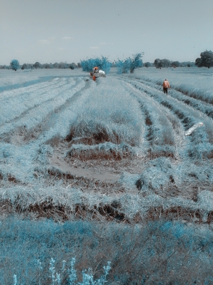 ขายดาวน์  ด่วนมาก DC 70 รอง