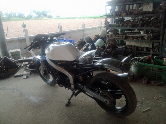 HONDA CBR 250. เครื่องแน่น HONDA CBR 250. เครื่องแน่น