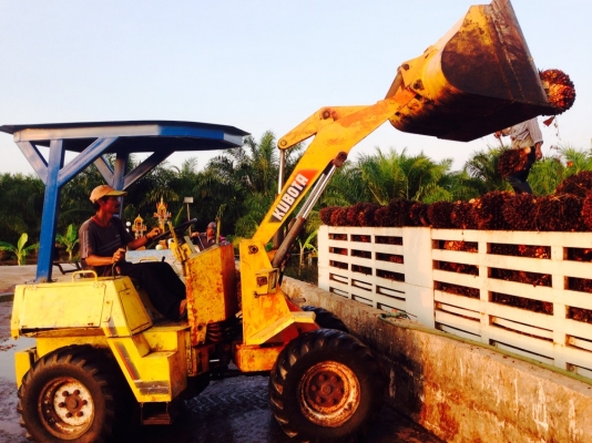 ขายรถตัก KUBOTA รุ่น R 350 รถเก่านอก มีใบนำเข้าเครื่อง-เกียร์ดีมาก ระบบปั๊มดี พร้อมใช้  290,000 ติดต่อ 081-970-1769