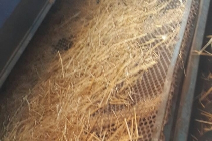 ขายเครื่องสีข้าวเจ็ดฟุตเกษตรพัฒนาสภาพพร้อมใช้งานขายถูกๆ43000 ขายเครื่องสีข้าวเจ็ดฟุตเกษตรพัฒนาสภาพพร้อมใช้งานขายถูกๆ43000