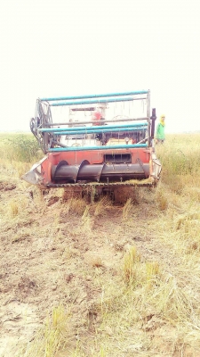 KUBOTA DC60 รถเกี่ยวกะสอบ รุ่นแรก ชั่วโมงน้อย พร้อมใช้