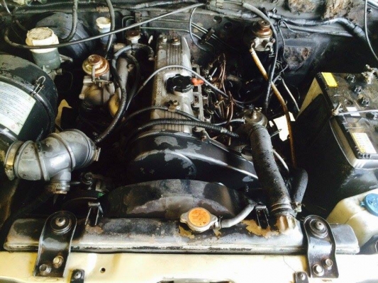 ขายกระบะ มิตซู ตอนเดียว ปี 2000 ราคาถูกๆ ติดต่อคุณกุ้ง 089-9161222(ขายแล้วนะครับ) ขายกระบะ มิตซู ตอนเดียว ปี 2000 ราคาถูกๆ ติดต่อคุณกุ้ง 089-9161222(ขายแล้วนะครับ)