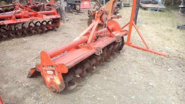 โล180เซนตราช้างไม่ทำสีไม่ย้อมแมวเผยให้เห็นถึงแก่นแท้