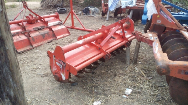 โล180เซนตราช้างไม่ทำสีไม่ย้อมแมวเผยให้เห็นถึงแก่นแท้