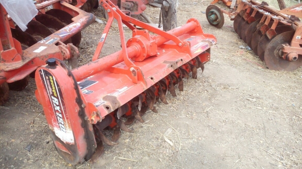 โล180เซนตราช้างไม่ทำสีไม่ย้อมแมวเผยให้เห็นถึงแก่นแท้