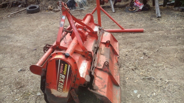 โล180เซนตราช้างไม่ทำสีไม่ย้อมแมวเผยให้เห็นถึงแก่นแท้