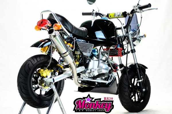 มังกี้แต่งๆๆ กอลิล่า แต่ง ลดราคาทุกรุ่น ต้อนรับปีใหม่ ด่วนๆๆ ลดๆๆ