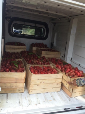 ให้เช่ารถ ออกงานevent ถ่ายโฆษณา หนัง ละคร งานโชว์ต่างๆ