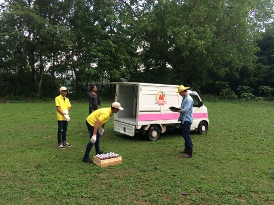 ให้เช่ารถ ออกงานevent ถ่ายโฆษณา หนัง ละคร งานโชว์ต่างๆ