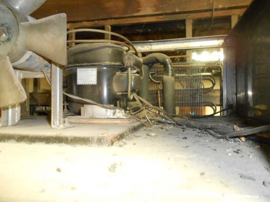 เลิกกิจการ ขายตู้เย็นสแตนเลส เหมา 4ตู้ (เหลือ 3ตู้แล้ว) เลิกกิจการ ขายตู้เย็นสแตนเลส เหมา 4ตู้ (เหลือ 3ตู้แล้ว)