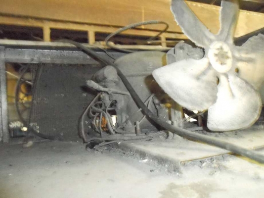 เลิกกิจการ ขายตู้เย็นสแตนเลส เหมา 4ตู้ (เหลือ 3ตู้แล้ว) เลิกกิจการ ขายตู้เย็นสแตนเลส เหมา 4ตู้ (เหลือ 3ตู้แล้ว)