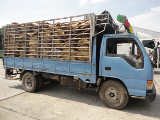 6 ล้อร้้ว ISUZU NPR 120 แรง เครื่อง 4HF1 ฝาขาว มือเดียวจากห้างแท้