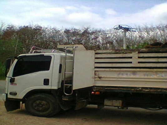 รถอิซูซุ 6 ล้อดั๊ม NPR 150 แรงม้า  ปี 52  สนใจติดต่อ 081 - 6079515