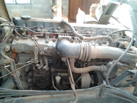 ขาย 10ล้อ2เพลาดั๊ม ISUZU Rocky195 เครื่อง6HE1 195แรง แห้งๆไม่ไอไม่หลวม คัสซีFVZ12MY ดีมีเก็บมา ช่วงล่างเดิมแน่น ภายในดี คอนโซลครบ พ.พาวเวอร์ เบรคทริฟฟี่  สโลว์อินเตอร์4สปีด กระบะดั๊มเหล็กฝาข้างมิเนียม ยางดี10เส้น วิ่งอ้อยทุกวัน พร้อมใช้พร้อมลุยงาน ราคาต่อ