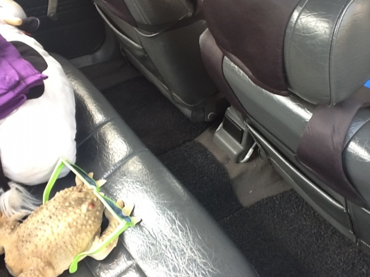 SUNNY FF ปี 93 รถมือเดียว SUNNY FF ปี 93 รถมือเดียว