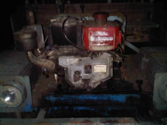 ขายน้องแต๋น