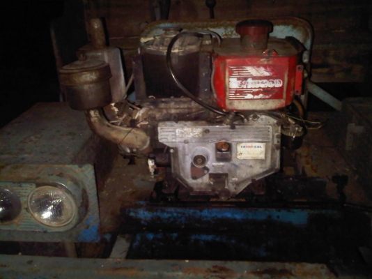 ขายน้องแต๋น