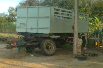 ขายลูกพวงดั๊ม ขายลูกพวงดั๊ม