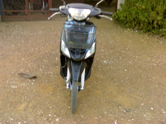 มีโอปี49