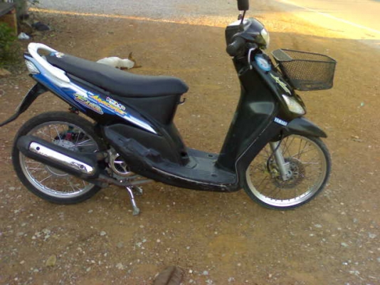 มีโอปี49