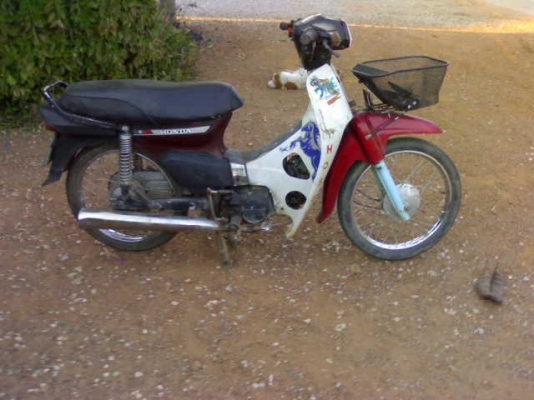 ดรีม100ปี33