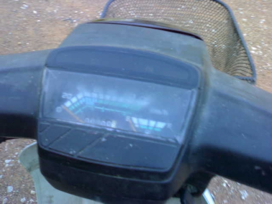 ดรีม100ปี33